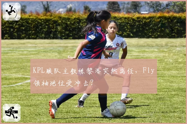 KPL狼队主教练黎洛突然离任,Fly领袖地位受冲击?